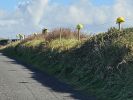 PICTURES/Ring of Kerry - Valentia Island/t_20250928_120329.jpg